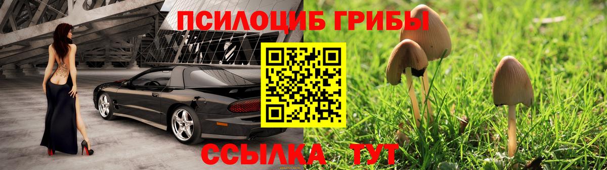 Трёхгорный  Псилоцибиновые грибы мицелий  Вход с VPN 